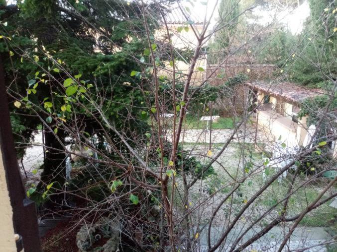 L'Auberge Du Camp Le Castellet  Eksteriør bilde